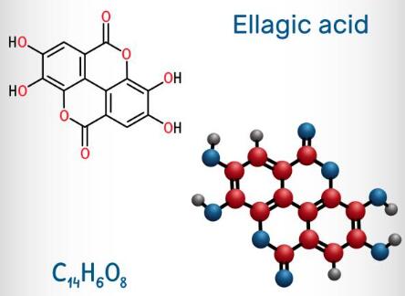 product-444-324 product-444-324