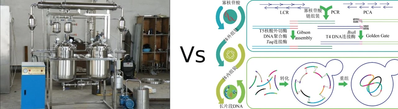 vs vs